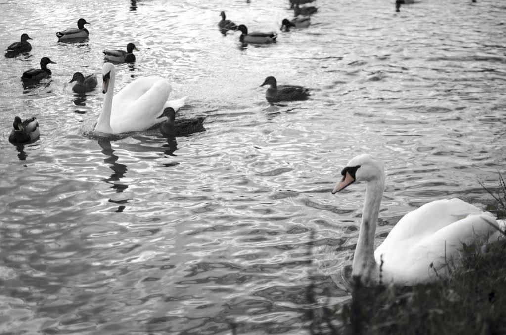 New Inn Hotel Lechlade Bagian luar foto